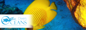 image-slider-with-thumbnail3.jpeg